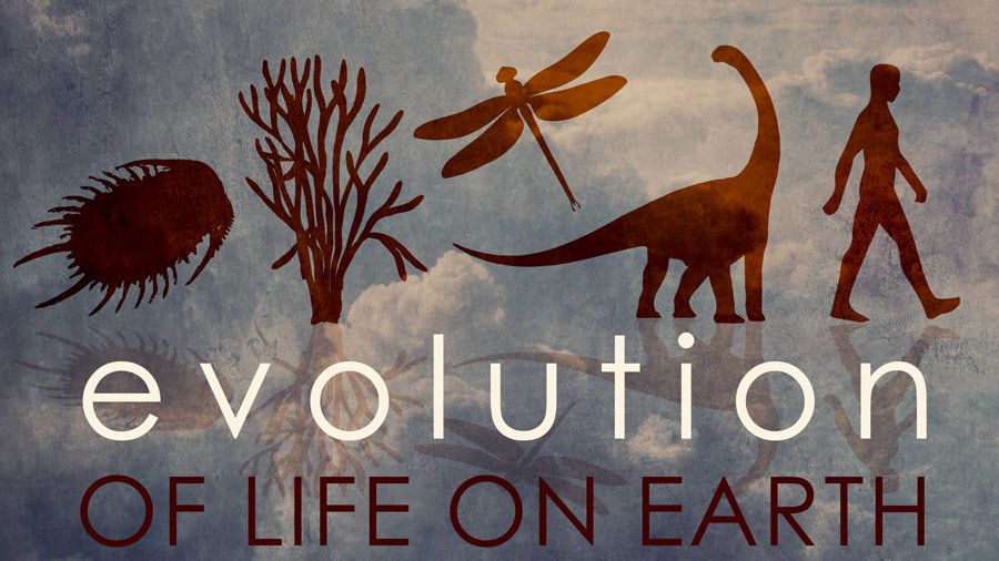 Evolution of Life on Earth